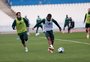 Tetê recusa três clubes para tentar voltar ao Grêmio