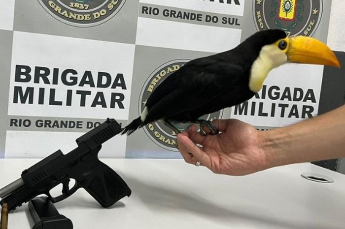 Brigada Militar / Divulgação Brigada Militar / Divulgação