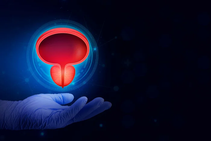 Tom / adobe.stock.com Tom / adobe.stock.com