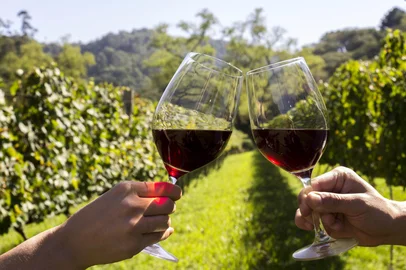 vinho , dia do vinho , serra , destemperados<!-- NICAID(13547449) -->