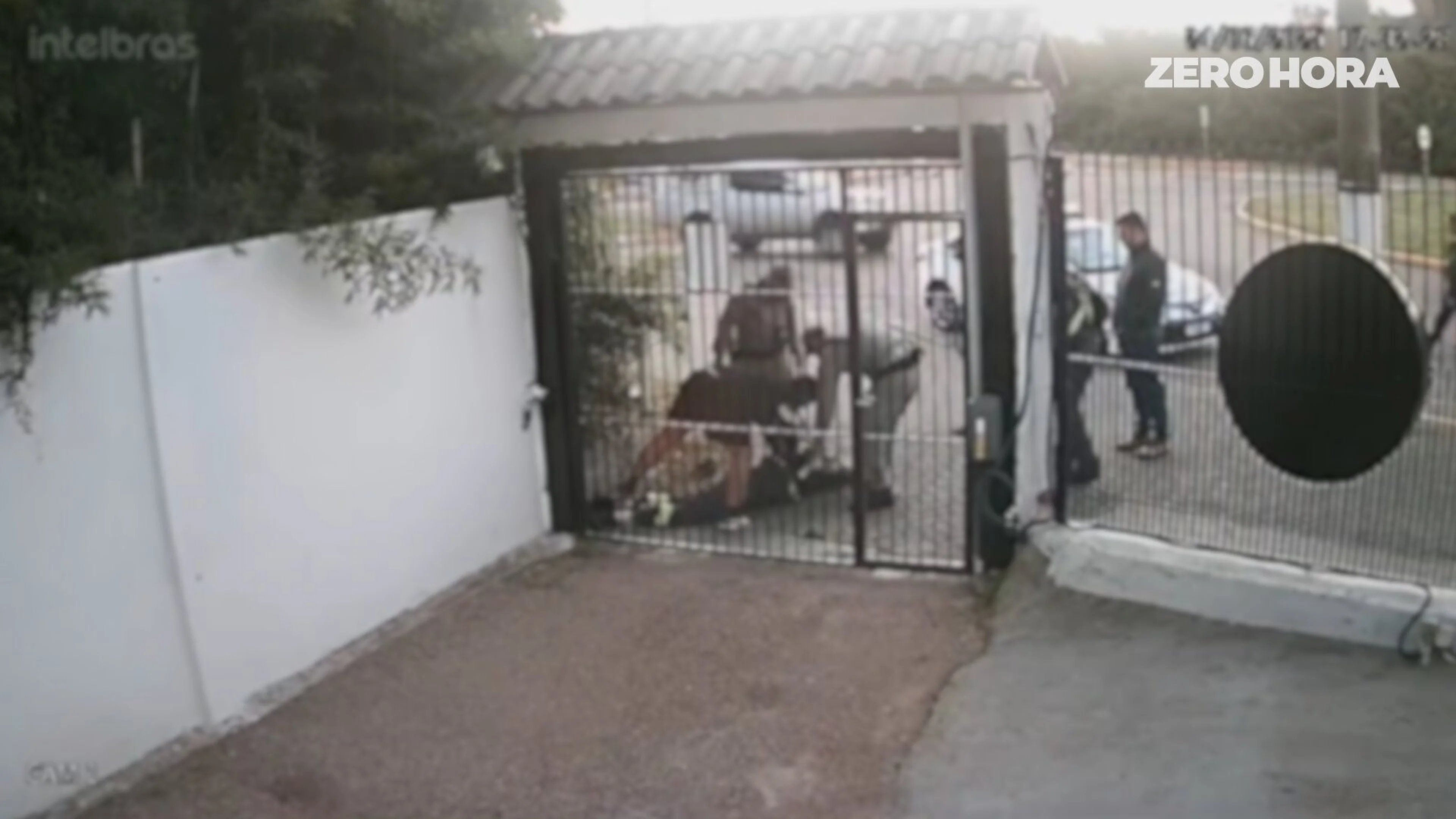 Reprodução/Reprodução