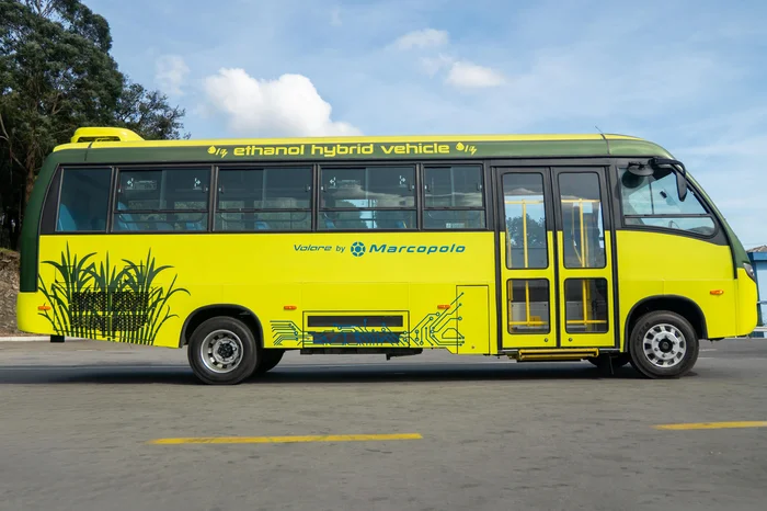 Marcopolo / Divulgação