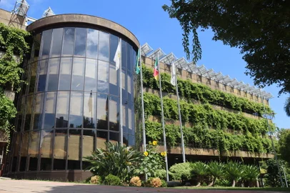 História da poda das parreiras no prédio da Câmara de Vereadores de Caxias do Sul. Neste sábado, dia 29, haverá a poda anual das videiras.Na foto: as parreiras em janeiro de 2023, durante a pré vindima.<!-- NICAID(15492623) -->
