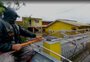 VÍDEO: voluntário caminha sobre muro e pula na água para resgatar gata presa há dias em Canoas 
