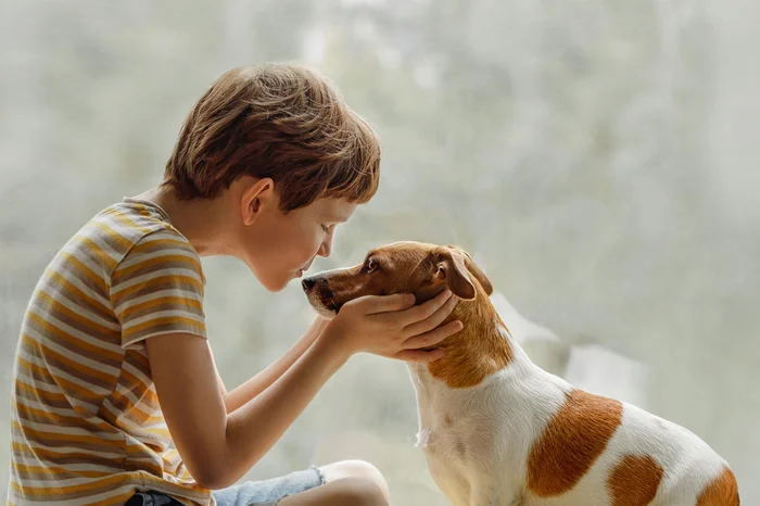 ulkas / stock.adobe.com