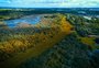 Coberto por plantas, Rio Gravataí se transforma em "tapete verde"; veja imagens