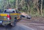 Após tentativa de homicídio, homem morre em confronto com a polícia em Caxias