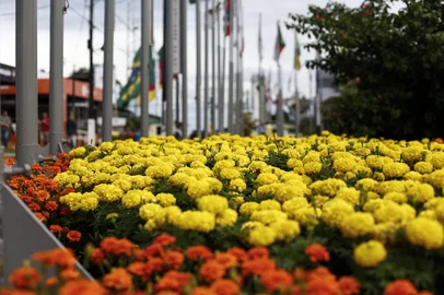 NÃO-ME-TOQUE, RS, BRASIL, 09-03-2026: Ornamentação de flores na 26ª Expodireto Cotrijal. Fotos: Duda Fortes/Agencia RBS<!-- NICAID(16241052) -->