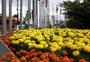 "Um arco-íris pousou na Expodireto": a história por trás dos jardins coloridos desta edição
