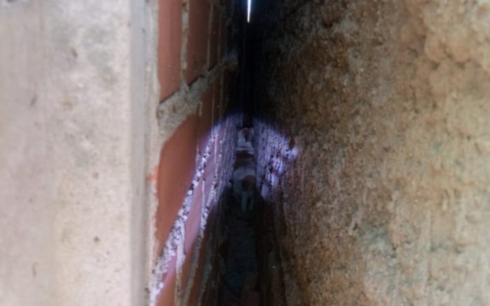 Divulgação / Guarda Municipal