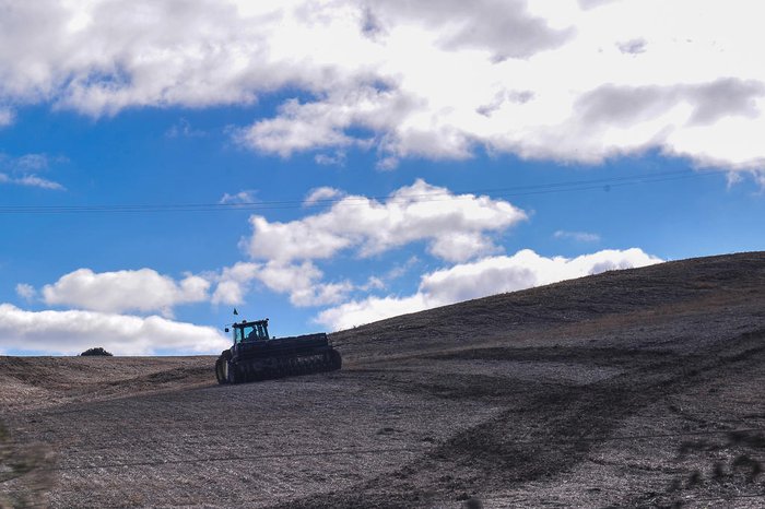 Produção de grãos é uma das principais atividades do município da Serra