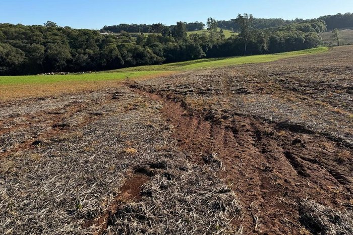 Joana Hanauer - Emater/RS-Ascar / Divulgação