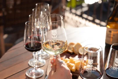 Vinícola Campestre, em Vacaria, oferece novas experiências enoturísticas.<!-- NICAID(16231066) -->