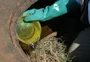 RS confirma oitava morte por dengue em 2024