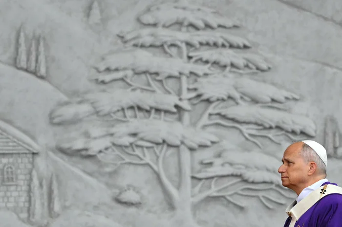 Andreas SOLARO / AFP Andreas SOLARO / AFP