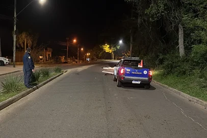 Cavalo morre atropelado na Lomba do Pinheiro<!-- NICAID(16124197) -->