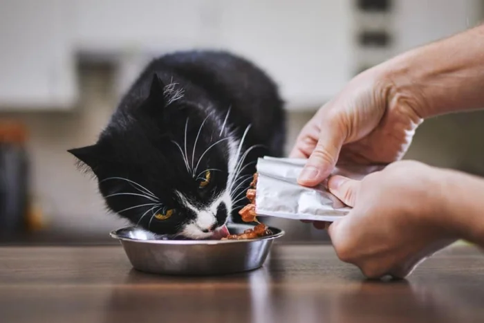 Jaromir Chalabala / Shutterstock | Portal EdiCase