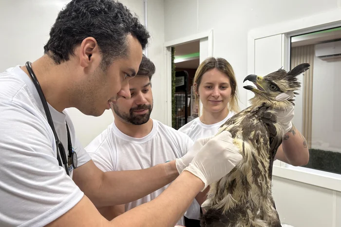 Gabriel Costa / Agencia RBS