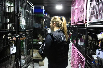 CANOAS, RS, BRASIL, 04-09-2025: Polícia Civil investiga “matança desmedida” de cães em secretaria de Canoas. Operação Carrasco apura prática de eutanásias irregulares durante gestão da ex-secretária de Bem-Estar Animal, que se apresentava como protetora de animais. Foto: Ronaldo Bernardi/Agência RBS<!-- NICAID(16116659) -->