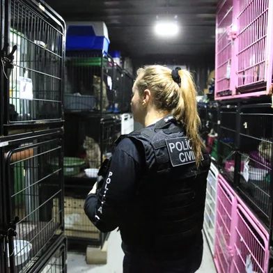 CANOAS, RS, BRASIL, 04-09-2025: Polícia Civil investiga “matança desmedida” de cães em secretaria de Canoas. Operação Carrasco apura prática de eutanásias irregulares durante gestão da ex-secretária de Bem-Estar Animal, que se apresentava como protetora de animais. Foto: Ronaldo Bernardi/Agência RBS<!-- NICAID(16116659) -->