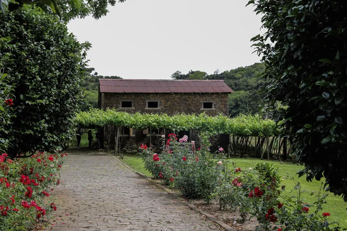 Ulisses Castro / Agencia RBS