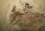 Fóssil de dinossauro levado de forma irregular do Brasil para a Alemanha em 1995 voltará ao país 