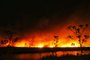 Incêndio na reserva natural do Taím - Lauro Alves/Agência RBS<!-- NICAID(15295902) -->