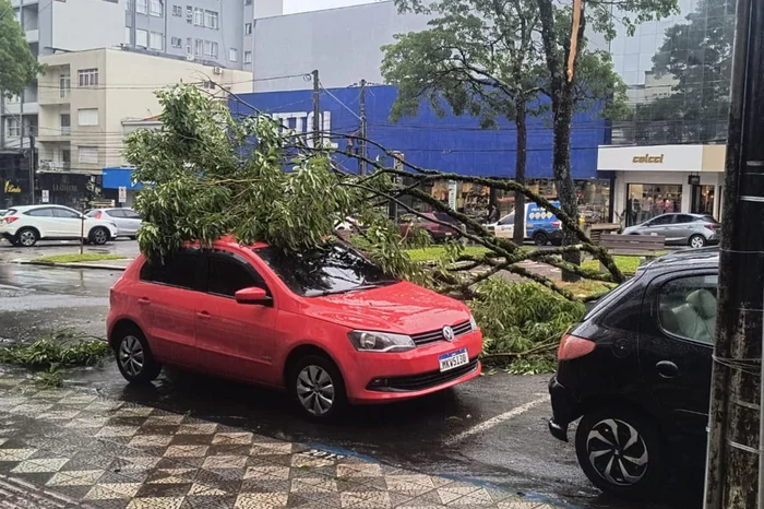 Nelsir Luterek / Roda de Cuia Nelsir Luterek / Roda de Cuia