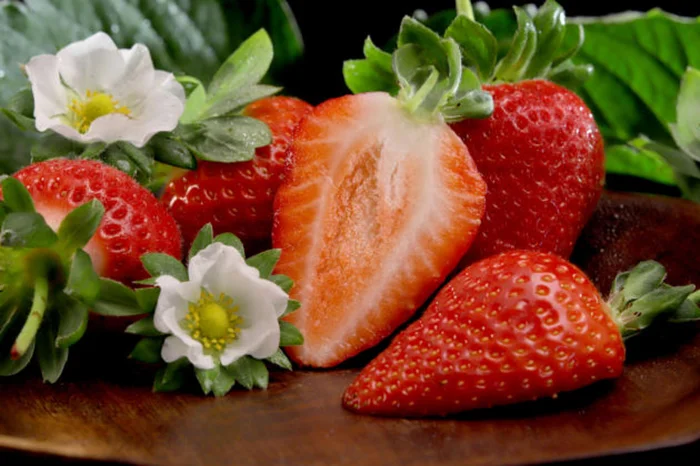 Paulo Lanzetta / Embrapa