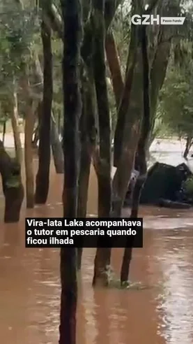 Morador resgata cachorra durante cheia do Rio Jacuí no interior de Passo Fundo
