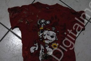 Polícia Civil / Divulgação Polícia Civil / Divulgação