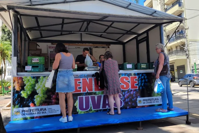 Pablo Ribeiro / Agencia RBS