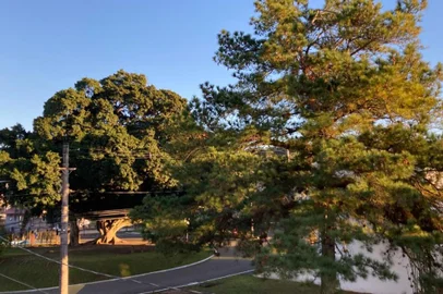Previsão era de temperaturas negativas no amanhecer, com geada em diversas regiões. <!-- NICAID(15127407) -->