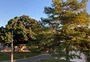 Amanhecer de domingo teve temperaturas negativas e geada