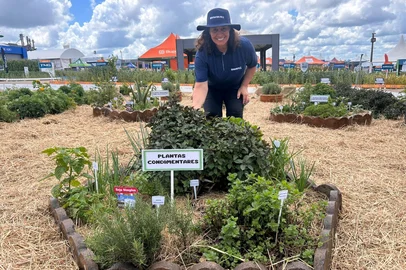 Espaço da Emater na Expoagro Cotricampo<!-- NICAID(16232453) -->
