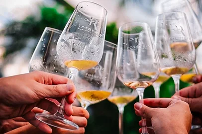 Vinícolas gaúchas juntas em uma grande experiência de degustação de vinhos em Porto Alegre <!-- NICAID(16004172) -->