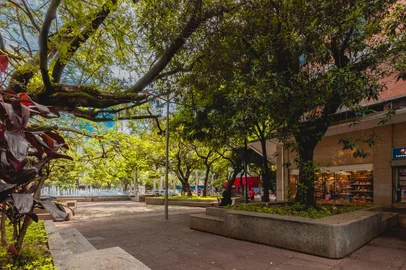 Um homem de 36 anos foi preso na noite desta quinta-feira (5) após agredir um neném de quatro meses na Avenida Getúlio Vargas, na Savassi, região Centro-Sul de Belo Horizonte. Ele disse que achou que os pais da criança estavam com um bebê 'reborn' para furar a fila de um trailer de lanches.<!-- NICAID(16053778) -->