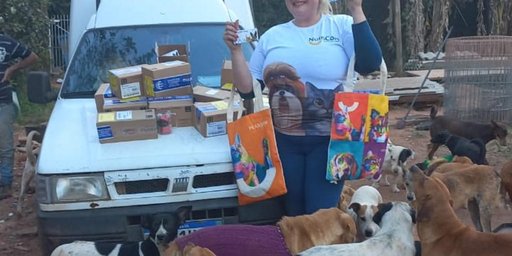 ONG pede ajuda para reformar canil