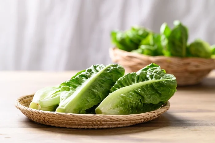 Nungning20 / Shutterstock | Portal EdiCase Nungning20 / Shutterstock | Portal EdiCase