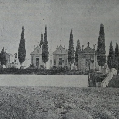 Cemitério Público Municipal de Caxias do Sul em 1950.<!-- NICAID(14930085) -->