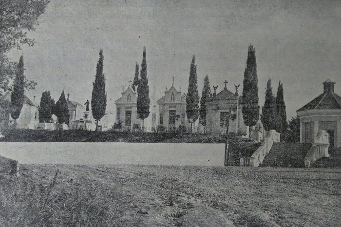 Studio Geremia / Reprodução