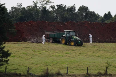 MONTENEGRO, RS, BRASIL - 2025.05.17 - Segue o trabalho de descarte de material orgânico na granja onde foi detectado o foco de gripe aviária, no Vale do Caí. (Foto: André Ávila/ Agência RBS)<!-- NICAID(16039670) -->