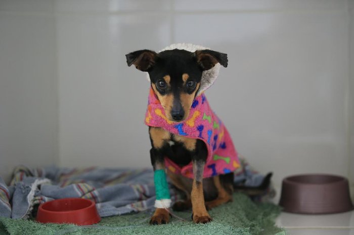 Ronaldo Bernardi / Agencia RBS