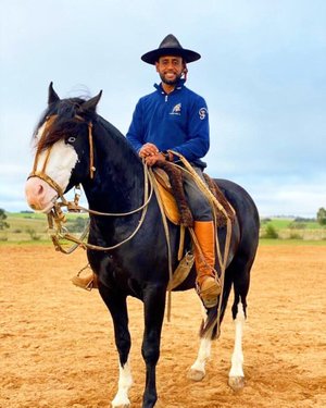 Conheça as principais raças de cavalo criadas no Brasil! I Petz