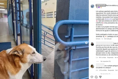 Brincalhão, dorminhoco e dono do próprio espaço: conheça Silveira, o cão famoso que conquistou o campus da UFSM<!-- NICAID(16041236) -->