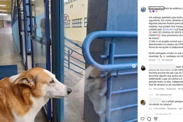 @silveirapodrao / Instagram / Reprodução @silveirapodrao / Instagram / Reprodução