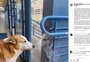 Podrão Silveira: conheça o cão que conquistou alunos do campus da UFSM