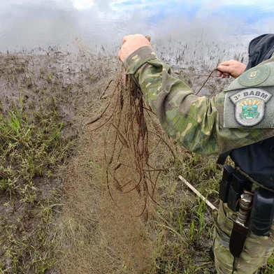 Imagens da operação piracema em Passo Fundo.<!-- NICAID(16217309) -->