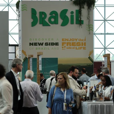 Brasil terá oito vinícolas representadas na maior feira do setor vitivinícola dos Estados Unidos <!-- NICAID(16031086) -->