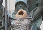 Ninho de joão-de-barro em estátua chama a atenção de frequentadores da Redenção